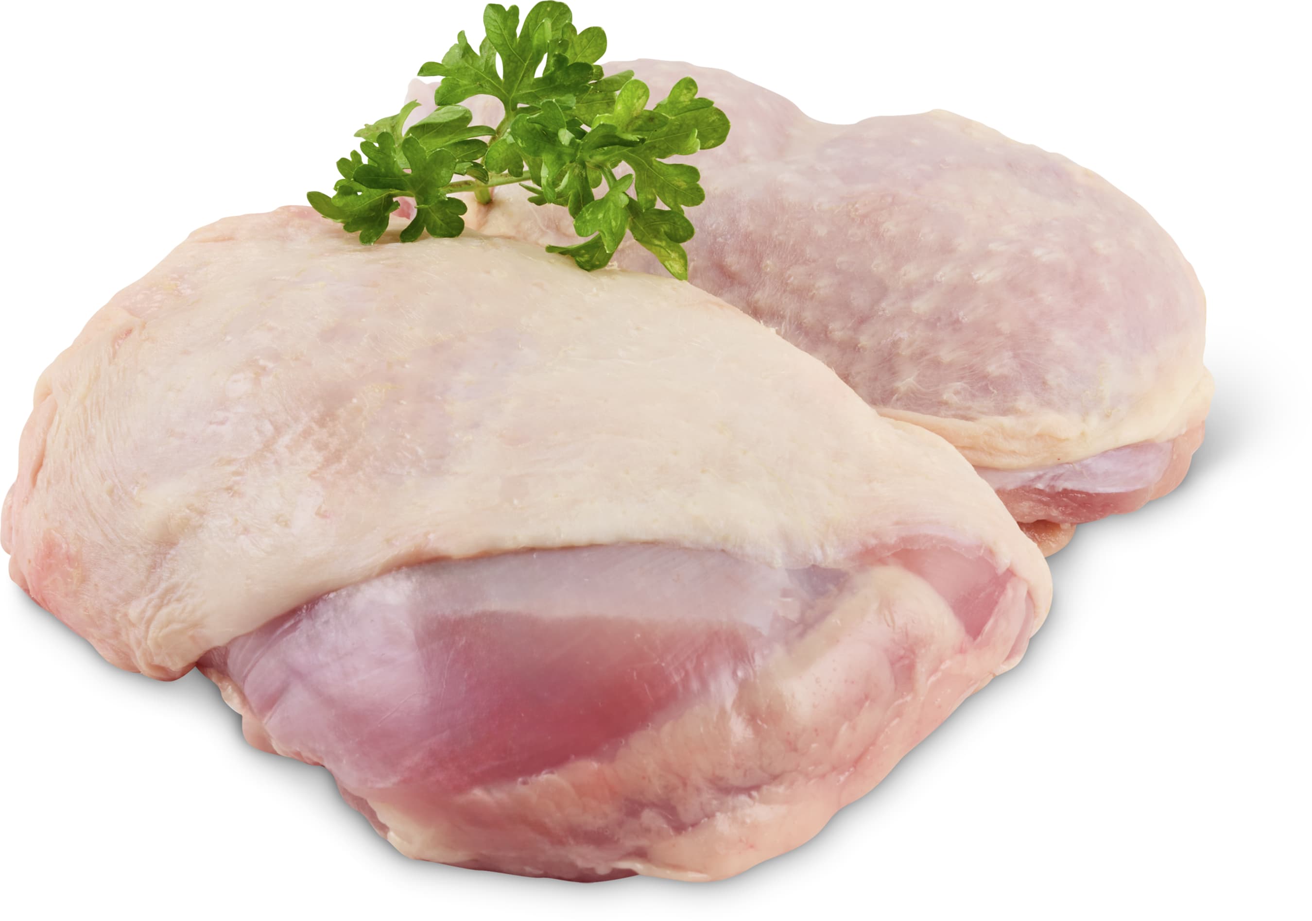 Bistecca di pollo